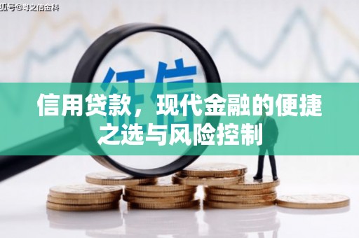 将军信用贷款，现代金融的便捷之选与风险控制