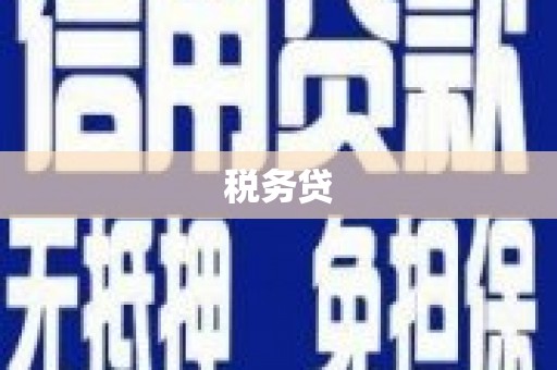 将军税务贷