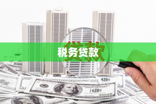 将军税务贷款