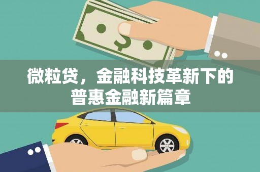 将军微粒贷，金融科技革新下的普惠金融新篇章