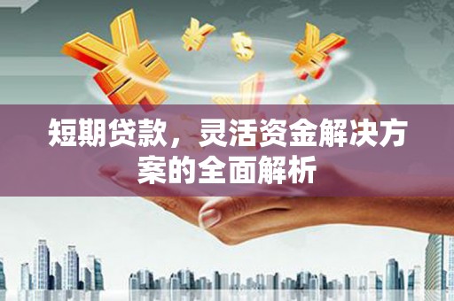 将军短期贷款，灵活资金解决方案的全面解析