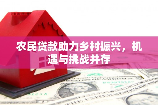 将军农民贷款助力乡村振兴，机遇与挑战并存
