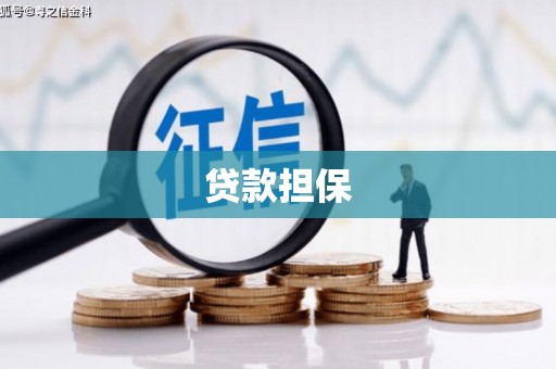 将军贷款担保