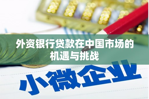 将军外资银行贷款在中国市场的机遇与挑战
