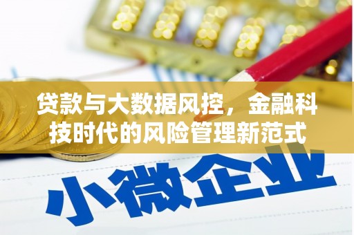 将军贷款与大数据风控，金融科技时代的风险管理新范式