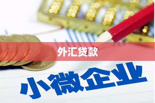 将军外汇贷款