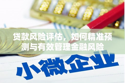 将军贷款风险评估，如何精准预测与有效管理金融风险