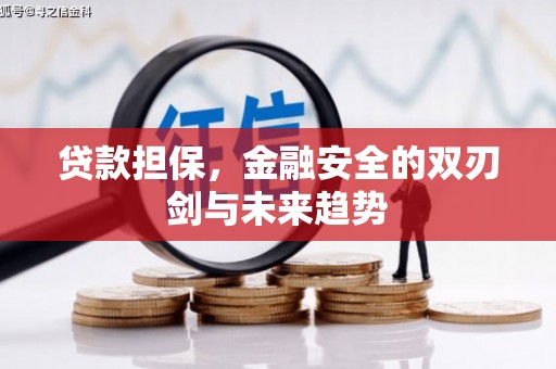 将军贷款担保，金融安全的双刃剑与未来趋势