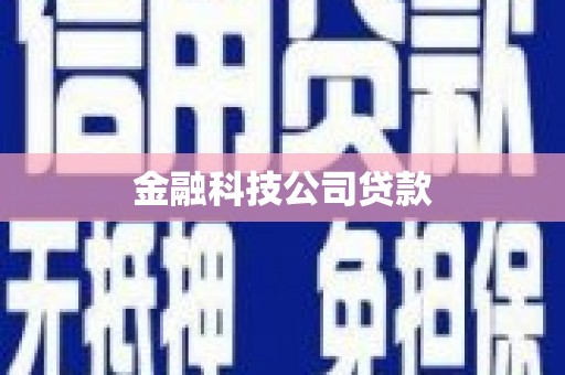 将军金融科技公司贷款