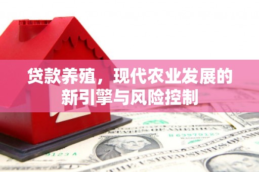将军贷款养殖，现代农业发展的新引擎与风险控制