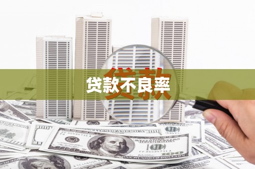 将军贷款不良率