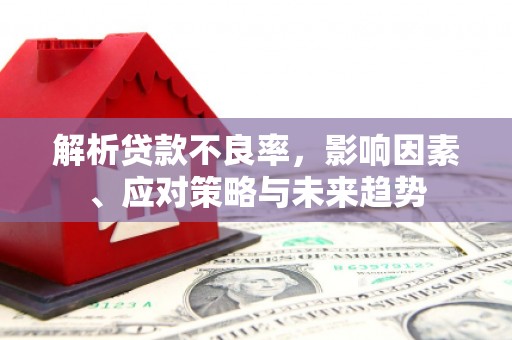 将军解析贷款不良率，影响因素、应对策略与未来趋势