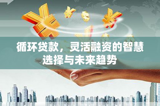 将军循环贷款，灵活融资的智慧选择与未来趋势