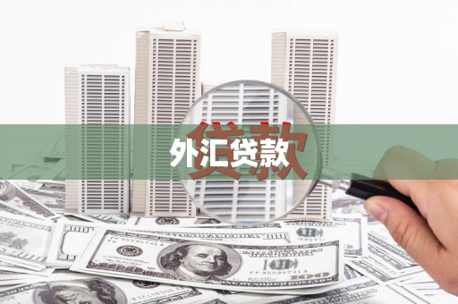 将军外汇贷款