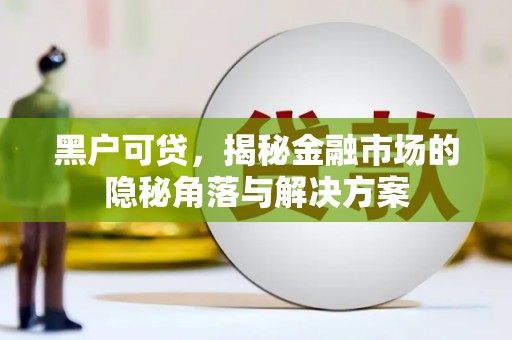 将军黑户可贷，揭秘金融市场的隐秘角落与解决方案
