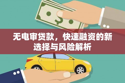 将军无电审贷款，快速融资的新选择与风险解析