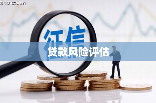 将军贷款风险评估
