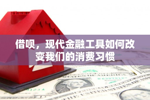 将军借呗，现代金融工具如何改变我们的消费习惯