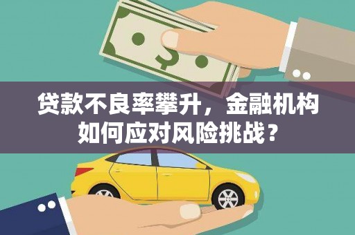 将军贷款不良率攀升，金融机构如何应对风险挑战？