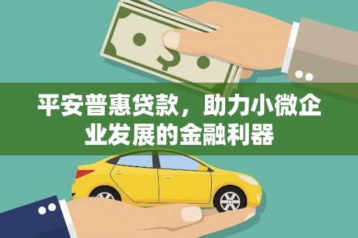 将军平安普惠贷款，助力小微企业发展的金融利器