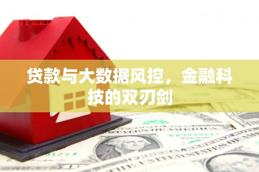 将军贷款与大数据风控，金融科技的双刃剑