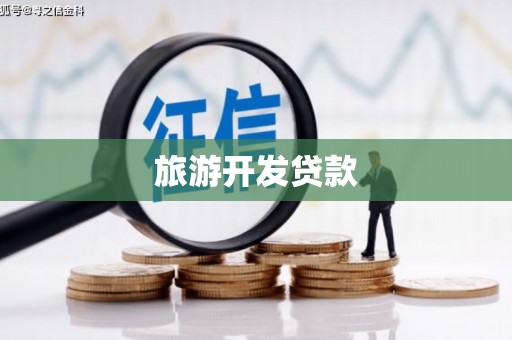 将军旅游开发贷款