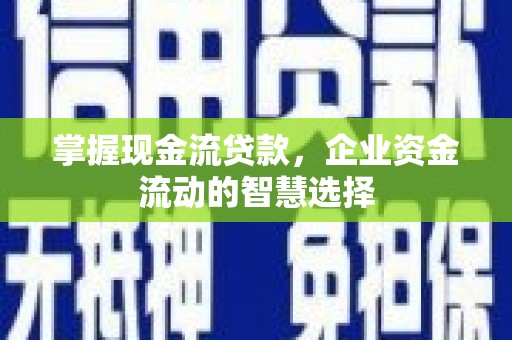 将军掌握现金流贷款，企业资金流动的智慧选择