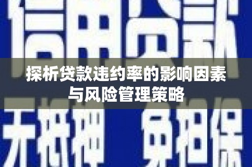 将军探析贷款违约率的影响因素与风险管理策略