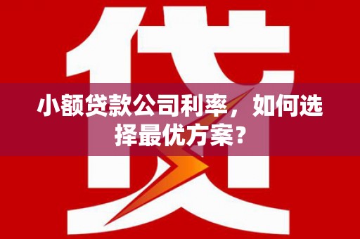 将军小额贷款公司利率，如何选择最优方案？