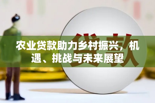 将军农业贷款助力乡村振兴，机遇、挑战与未来展望