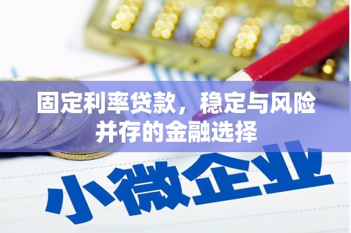 将军固定利率贷款，稳定与风险并存的金融选择