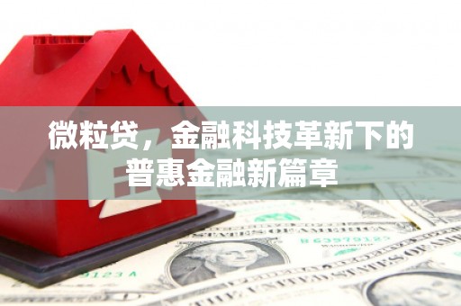 将军微粒贷，金融科技革新下的普惠金融新篇章