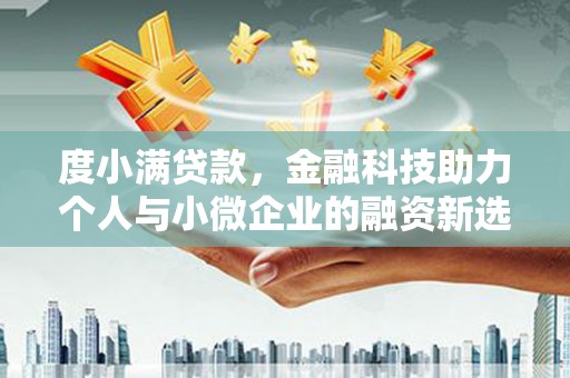 将军度小满贷款，金融科技助力个人与小微企业的融资新选择