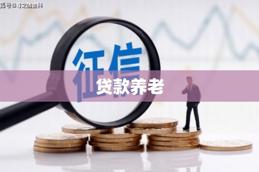 将军贷款养老