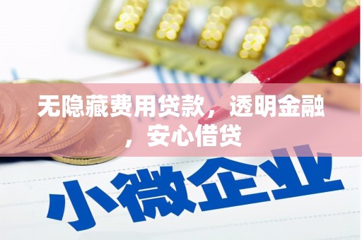 将军无隐藏费用贷款，透明金融，安心借贷