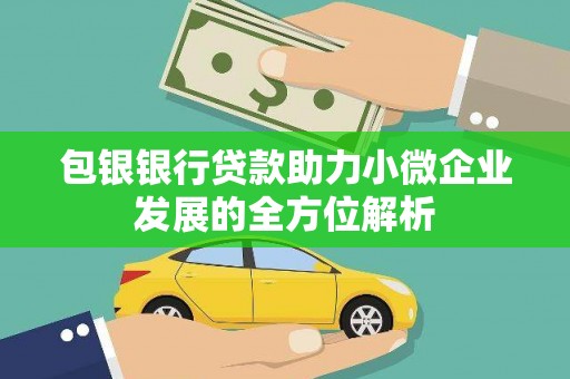 将军包银银行贷款助力小微企业发展的全方位解析