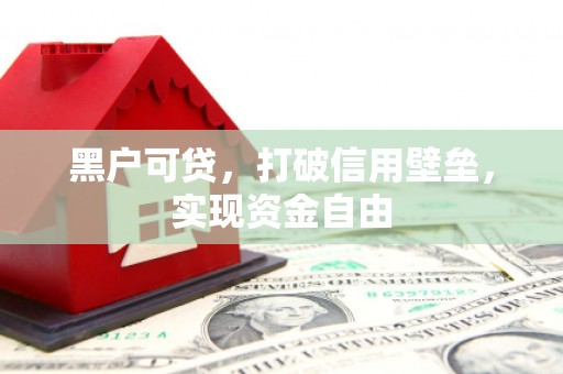 将军黑户可贷，打破信用壁垒，实现资金自由