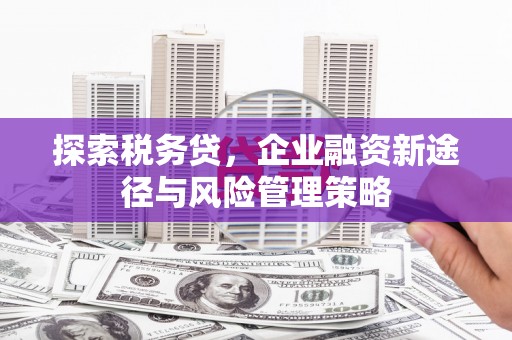 将军探索税务贷，企业融资新途径与风险管理策略