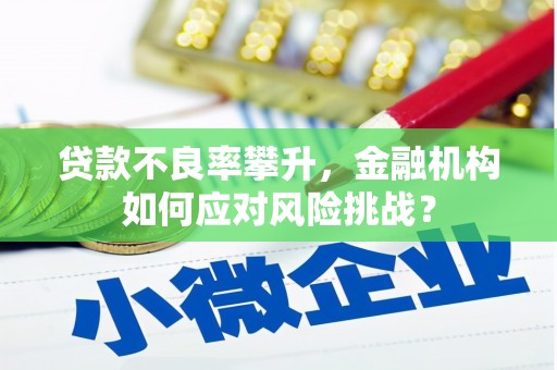 将军贷款不良率攀升，金融机构如何应对风险挑战？