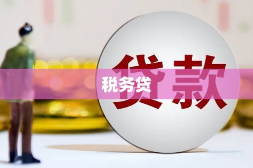 将军税务贷