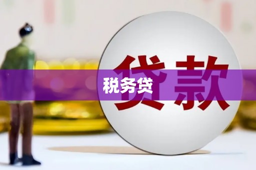 将军税务贷
