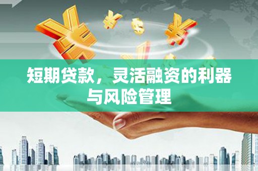 将军短期贷款，灵活融资的利器与风险管理
