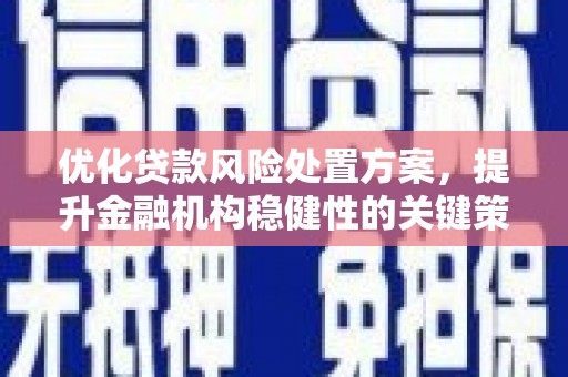 将军优化贷款风险处置方案，提升金融机构稳健性的关键策略