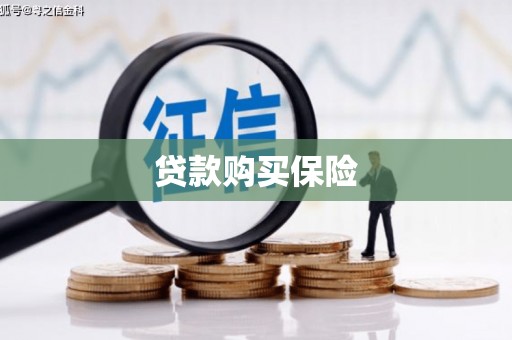 将军贷款购买保险
