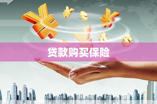 将军贷款购买保险