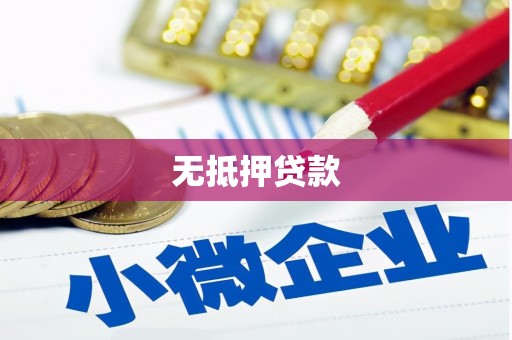 将军无抵押贷款