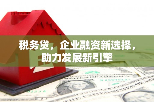 将军税务贷，企业融资新选择，助力发展新引擎