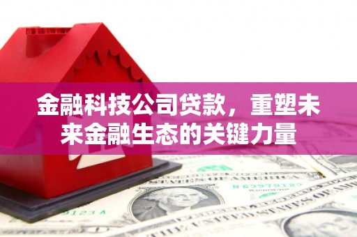 将军金融科技公司贷款，重塑未来金融生态的关键力量