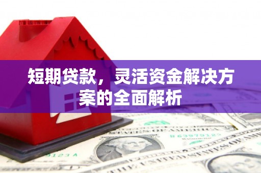 将军短期贷款，灵活资金解决方案的全面解析