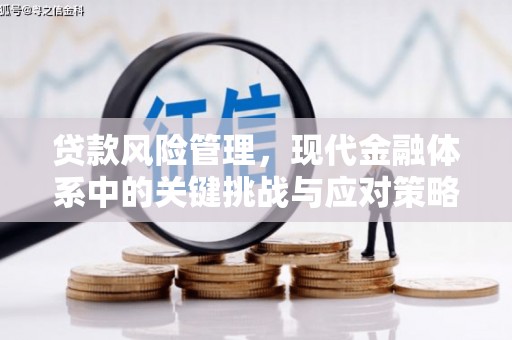 将军贷款风险管理，现代金融体系中的关键挑战与应对策略
